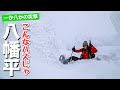 【一か八かの突撃】見たい景色があるんだ!晴れを信じて岩手県の八幡平に行ってきました