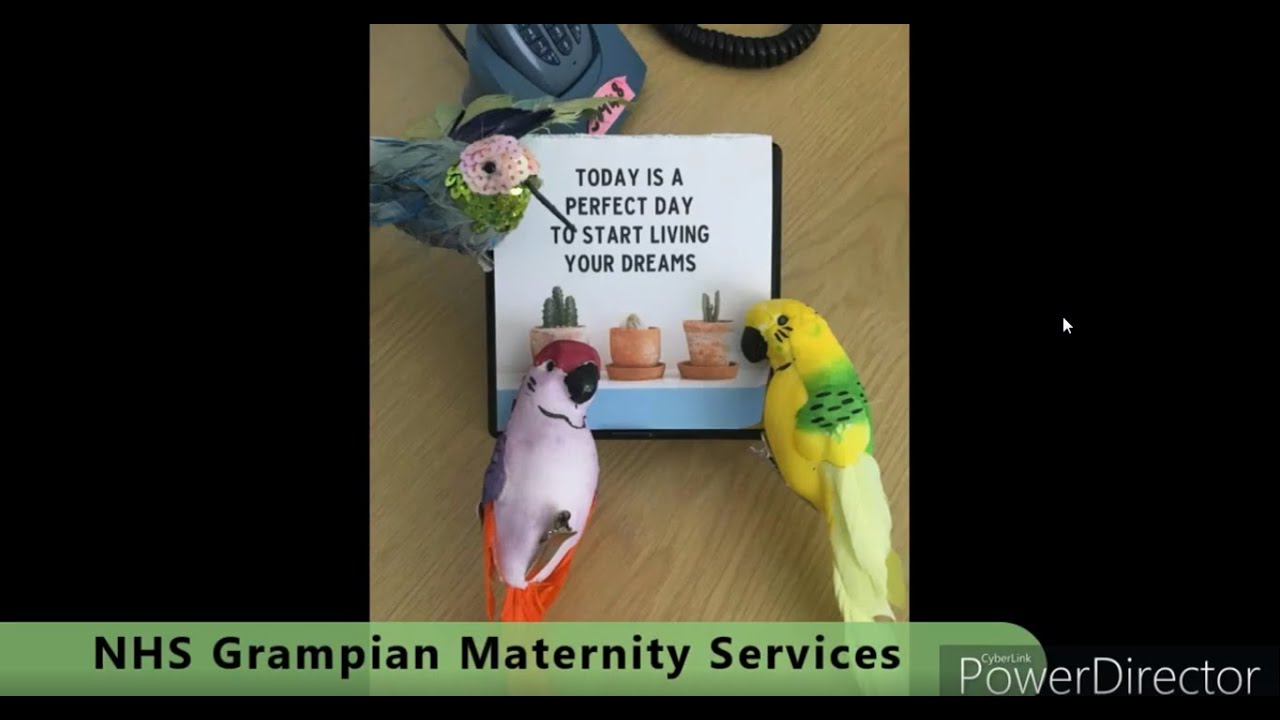 NHS Grampian Maternity Services IDM2020 video UWS YouTube