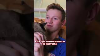 КОГДА НЯНЧИШЬСЯ С КОТОМ