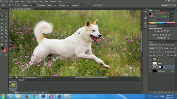 Photoshop 3D Editing, Pop Out Effect Using Refine edge & Mask