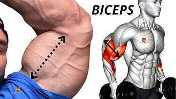 The 5 Best Bicep Exercises That Should Be Part of Your Workouts for Fast Results