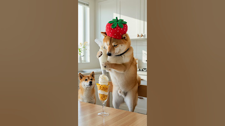 当選したハクちゃんとデザート作り🍓#柴犬 #犬 #いちご #パフェ #strawberry #shibainu #dog #西巴犬 #바견
