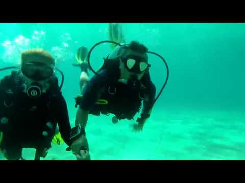 Diving Sep Sithonia,