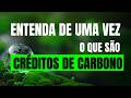 Eu Descobri o SEGREDO dos Créditos de Carbono e Você Também Pode!