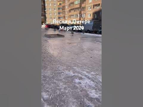 Весна в Питере. Март 2025 #санктпетербург #санктпетербург #весна # ...