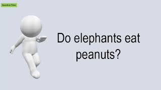 Do Elephants Eat Peanuts