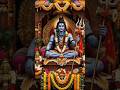 bhole baba ke damakedar barat   D j  par  jhum uthe bhakt  #trending   #bhakti song #popularsong