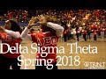 Delta Sigma Theta Sorority, Inc. | Alpha Tau Chapter | New Initiate Presentation (Spring 2018)