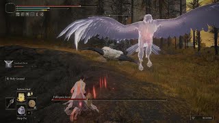 NG+ Stormhawk Deenh v Fallingstar Beast - HEALER BUILD - ELDEN RING