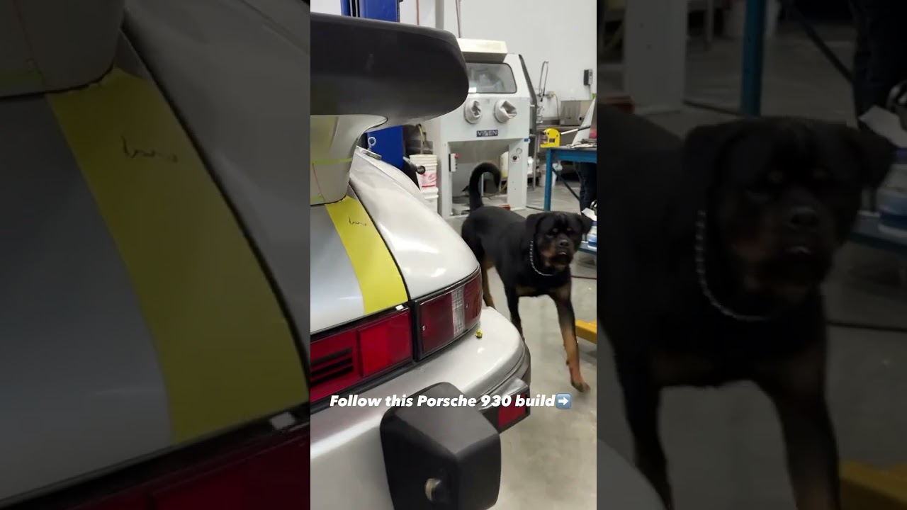 Follow along on this Porsche 930 Olsen build! 