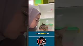 Download Lagu CAT'S REACTION TO BEING CALLED A MUJAIR CAT ⁉️THE PLOT IS A REALLY TWIST🤣 #lol MP3