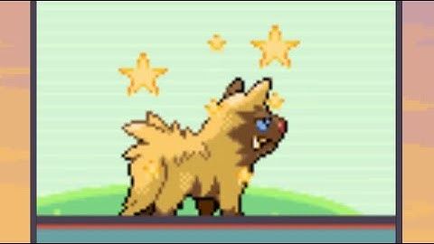 Live Shiny Poochyena on Route 102 after 6 Phases!