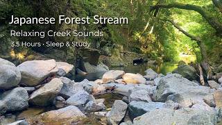 Relaxing Creek Sounds for Sleep & Study 🌿 Japanese Forest Stream | 3.5 Hours