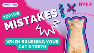 BONUS: Top 5 ⚠️MISTAKES ⚠️ to Avoid When Starting to Brush Your Cat’s Teeth by RYERCAT 1,667 views 11 months ago 1 minute, 56 seconds