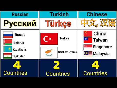 Which Countries Speak the Same Language? | Surprising Global Connections! 🌍🗣️