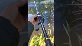 Meine Lieblings Method Feeder Combo