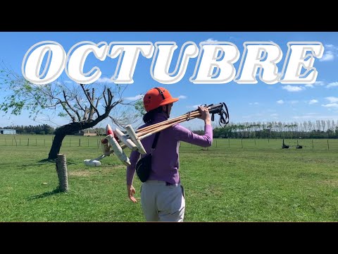 ya fue no? tenes campo?⎮ Octubre Vlog
