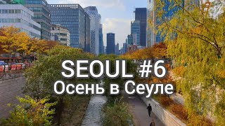 Take a ride in Seoul. Объехали весь Сеул на машине.