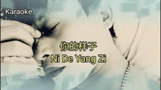 Ni de yang zi.(karaoke) No Vocal(你的样子)