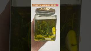마늘올리브오일 로즈마리 마늘 올리브오일 담고 소금 넣고 숙성해요!! #로즈마리 #로즈마리오일 #로즈마리마늘오일 #마늘오일 #허브오일 #로즈마리활용 #로즈마리활용법 #로즈마리효능