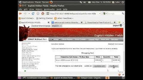 Exploit Hidden Fields