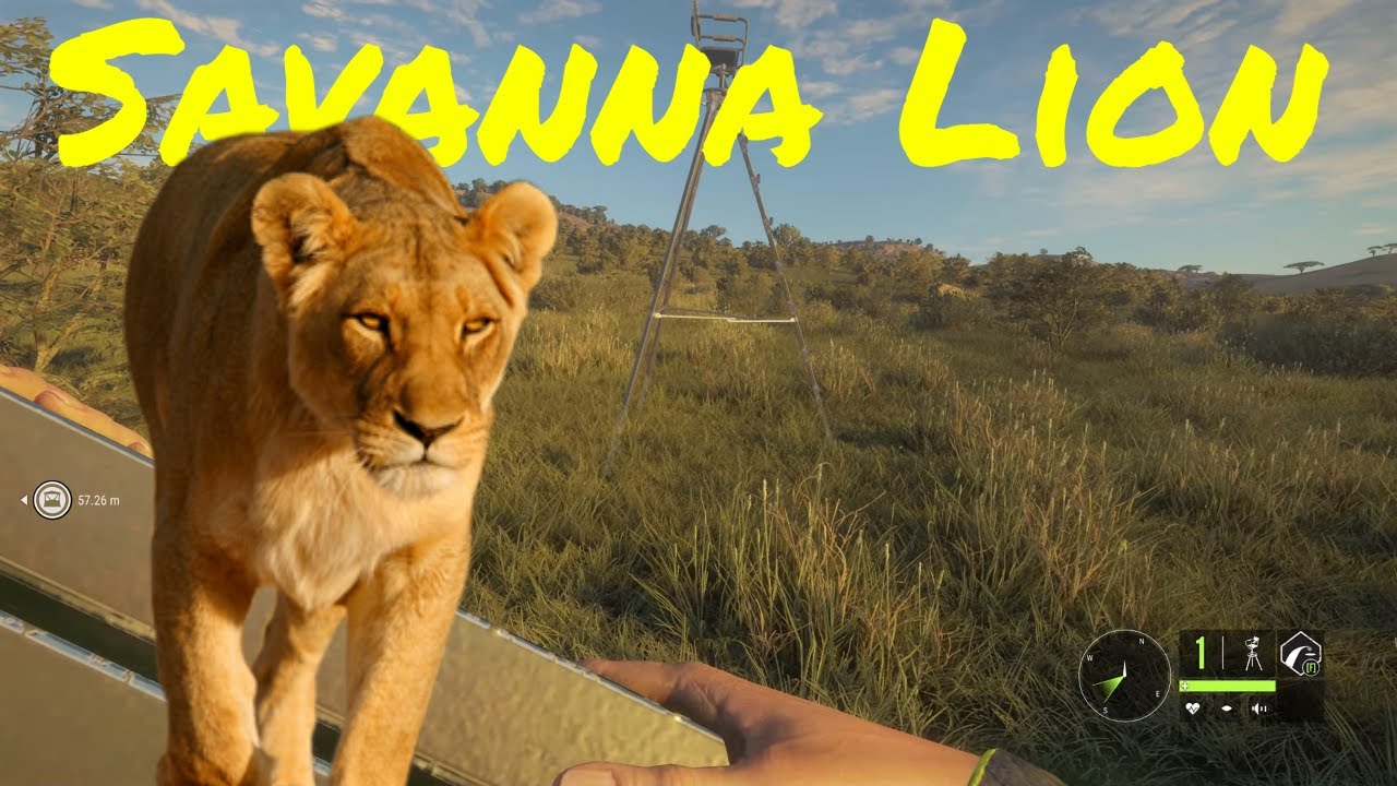 THE HUNTER CALL OF THE WILD 1st Lion Hunt in the Savanna. YouTube