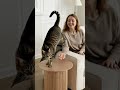 I told you my kitten can do a handstand.#furniture #cat #coffeetable #tiktok #livingroomfurniture
