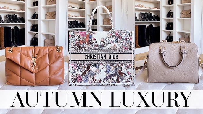 Best Book Tote - Reviewing & Ranking Louis Vuitton On The Go, Dior