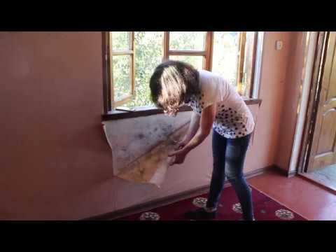 NetGazeti: ფაროსანა სოხუმის ტერიტორიაზე