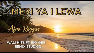  Meri Ya I Lewa  Afro Reggae  Wali Hits Ft Big Gee Remix Studios