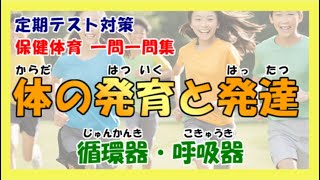 保健体育 中学生定期テスト対策 一問一答集 体の発育 発達 呼吸器 循環器 ポテスタディ 165 Youtube