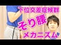 反り腰のメカニズム「下位交差症候群」猫背との関係性も?