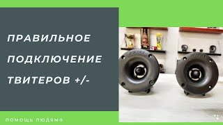 картинка: Как подключить твитер (пищалку)