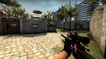 CS:GO-Double Kill With One Bullet