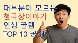 청국장이야기 내돈내산 인생템 TOP10