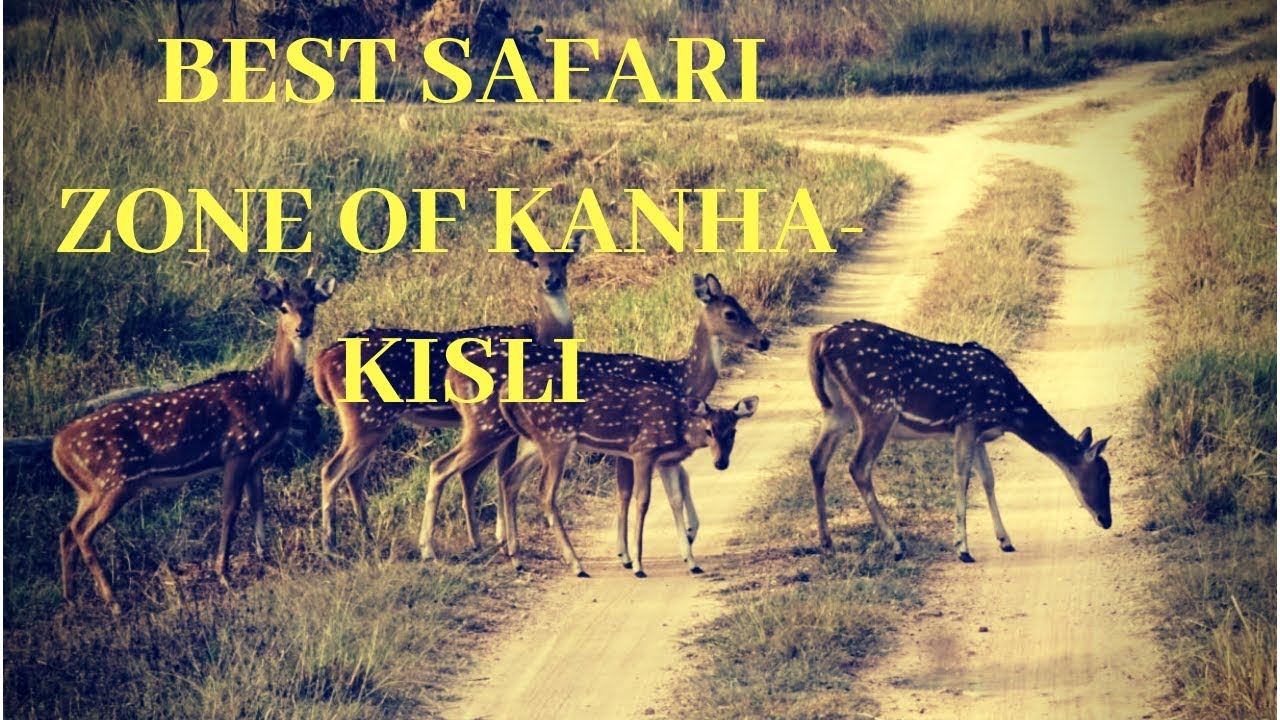 Best safari zone Kanha National Park: Kisli, Mukki, Kanha (Hindi)