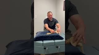 Adjusting Pregnant Patients Using Webster Technique - Dr. Tyler at Health and Wellness Chiropractic