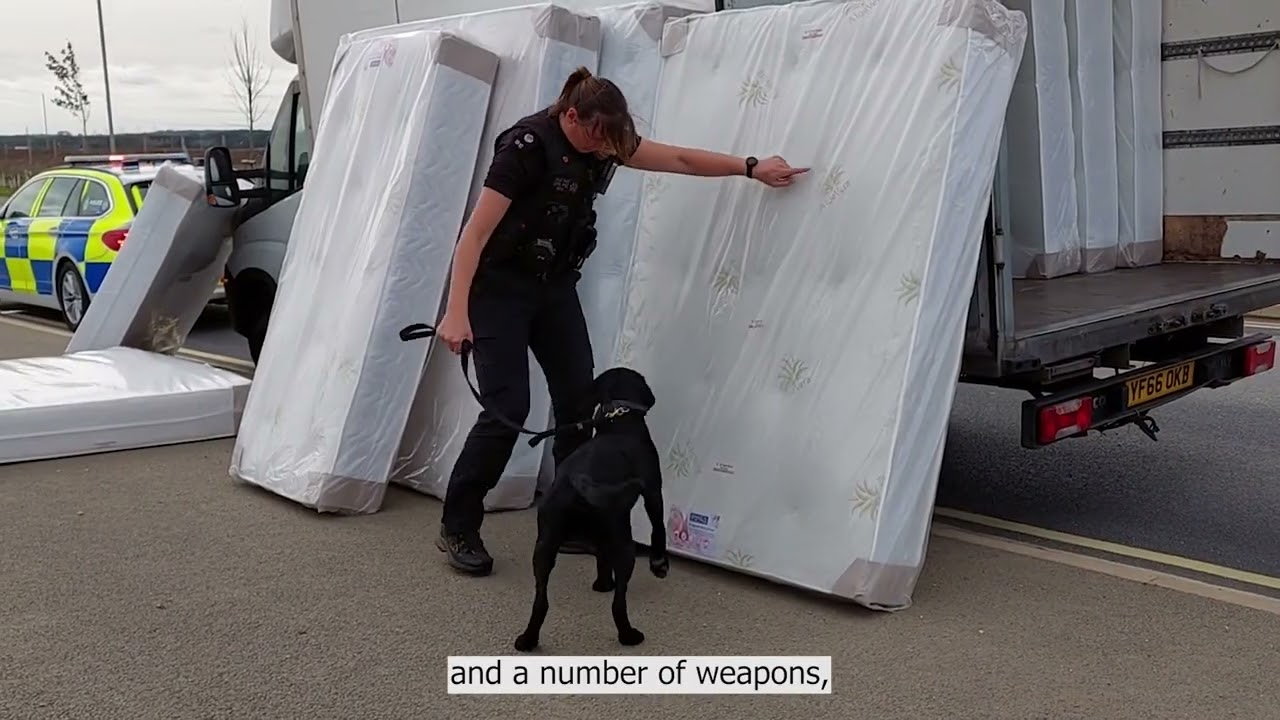 County Lines Intensification Week