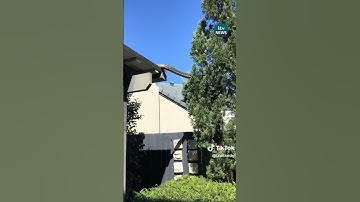 Five-metre long snake spotted slithering across rooftops #itvnews #news #snake #Australia