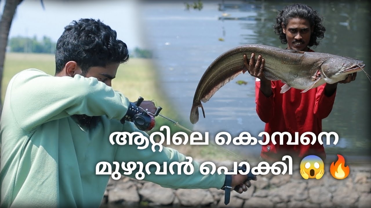 ഇത്രയും നാടൻ വാള നിങ്ങൾ ഒരുമിച്ച് കണ്ടിട്ടുണ്ടോ...😱🔥 | Fishing Kerala | Slingshot Fishing 🔥