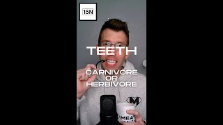 Celebrity Are human teeth designed to eat meat? Wealth