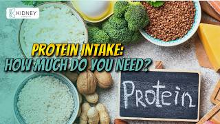 How Much Proteins Do We Really Need? | Kidney Disease