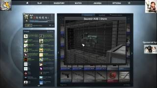 Small review peak of my Csgo Main Menu page(Feat. Bolt)