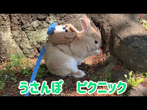 ぽっけ - YouTube