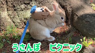 うさぎ 3S2306EAAX