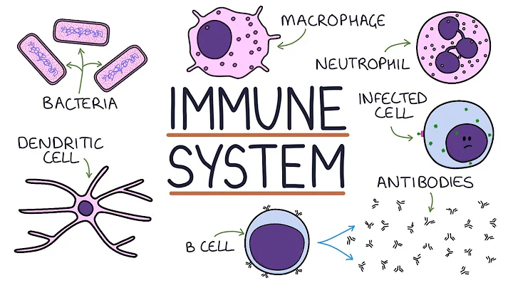 Understanding the Immune System in One Video