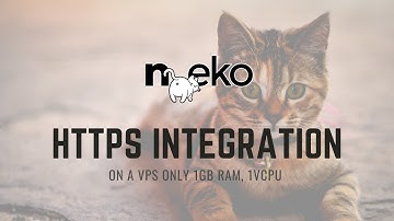 Using Certbot to Get HTTPS for Your Self Hosted Virtual Browser  - n.eko