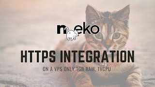 Using Certbot to Get HTTPS for Your Self Hosted Virtual Browser  - n.eko