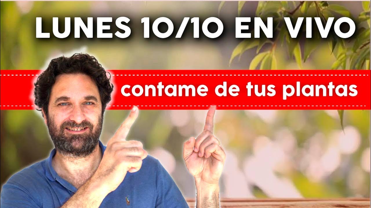 HOY LUNES 10-10-2022  EN VIVO!! RESPONDO TUS CONSULTAS - Horario en la descripci�n.