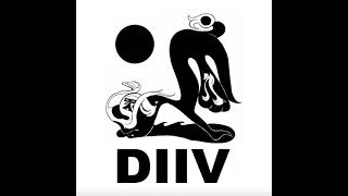 DIIV - Live at Pitchfork Music Festival - 2014